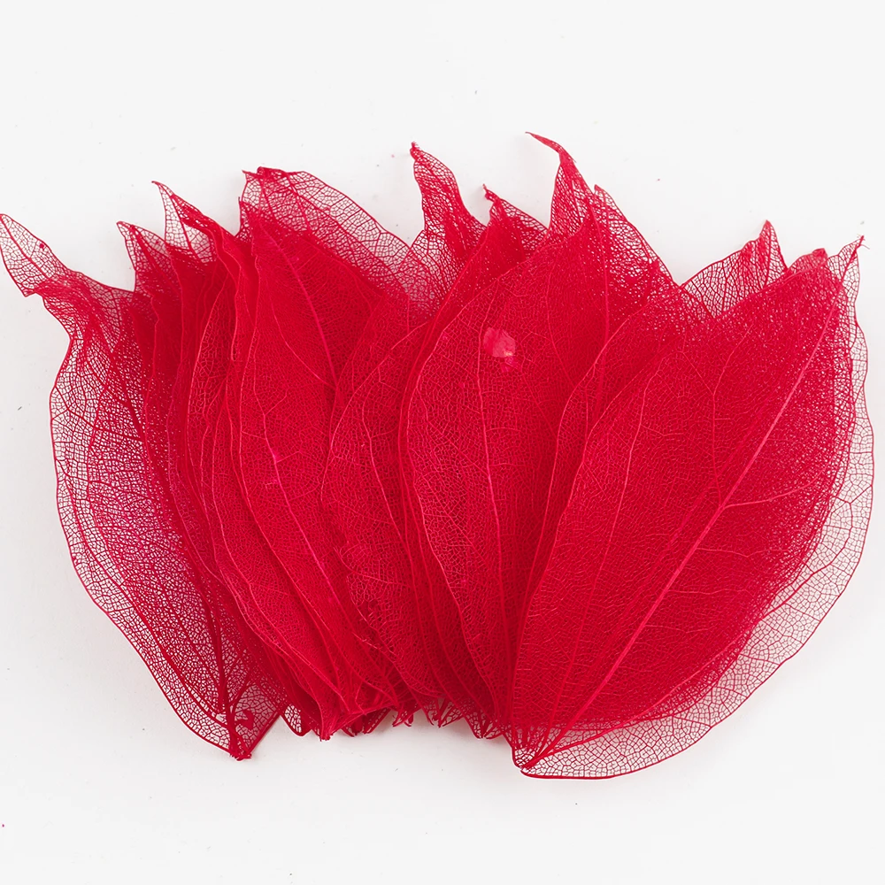 Lucia Crafts 36 шт многоцветные искусственные листья сухие Скрапбукинг Девушка для DIY