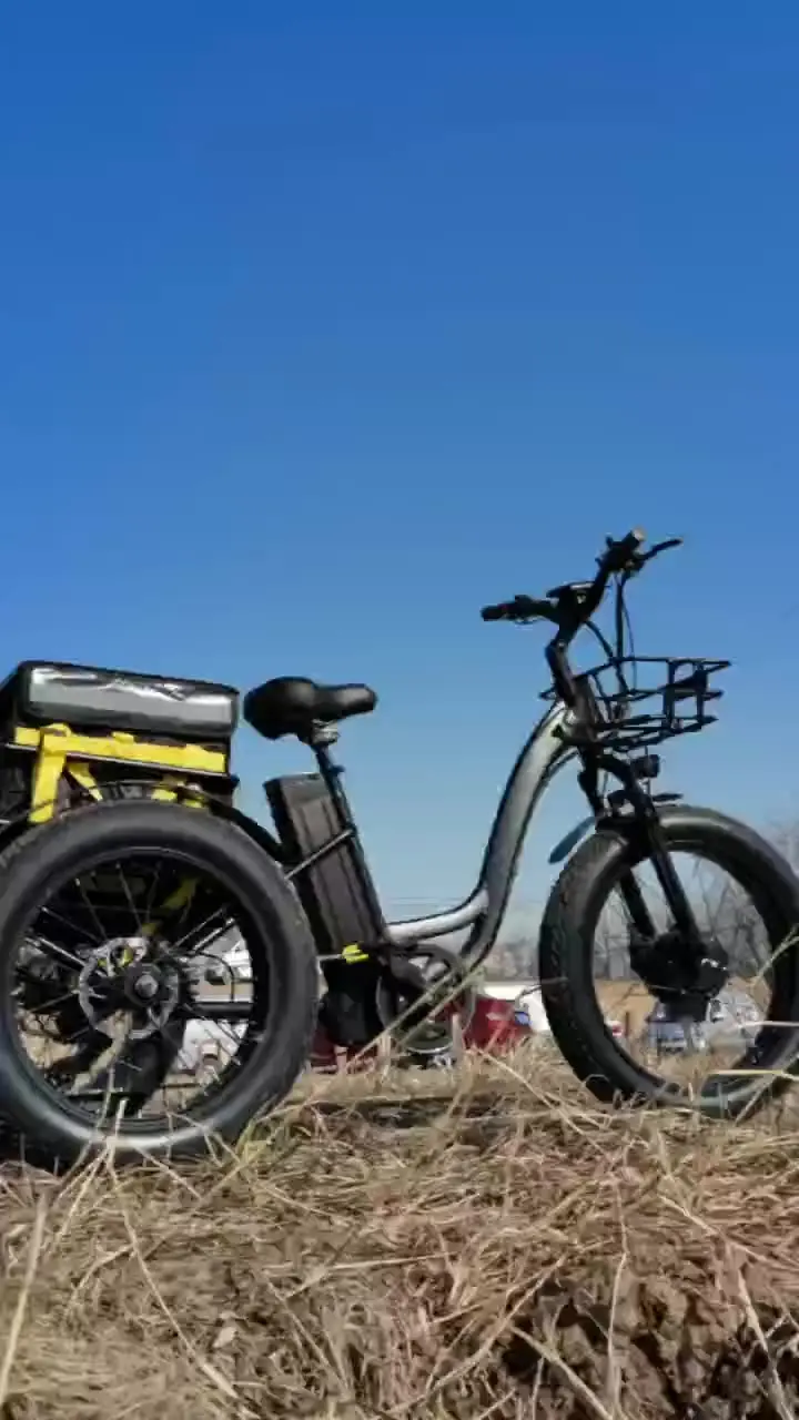Triciclo eléctrico de 3 ruedas, vehículo de 24 pulgadas, con batería LG de 500w -- 800w 15ah--18ah