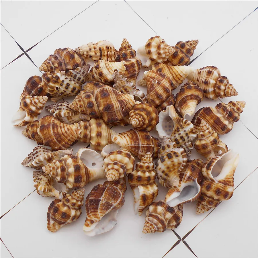 

Бусины Julie Wang в виде ракушек с отверстиями, 10 шт.