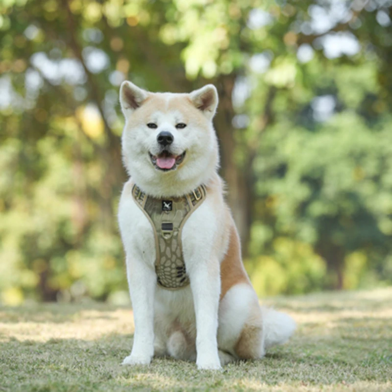 

Dog Harness Adjustable Safety Lead Straps Breathable Dog Harnesses Walking Training Perros Accesorios