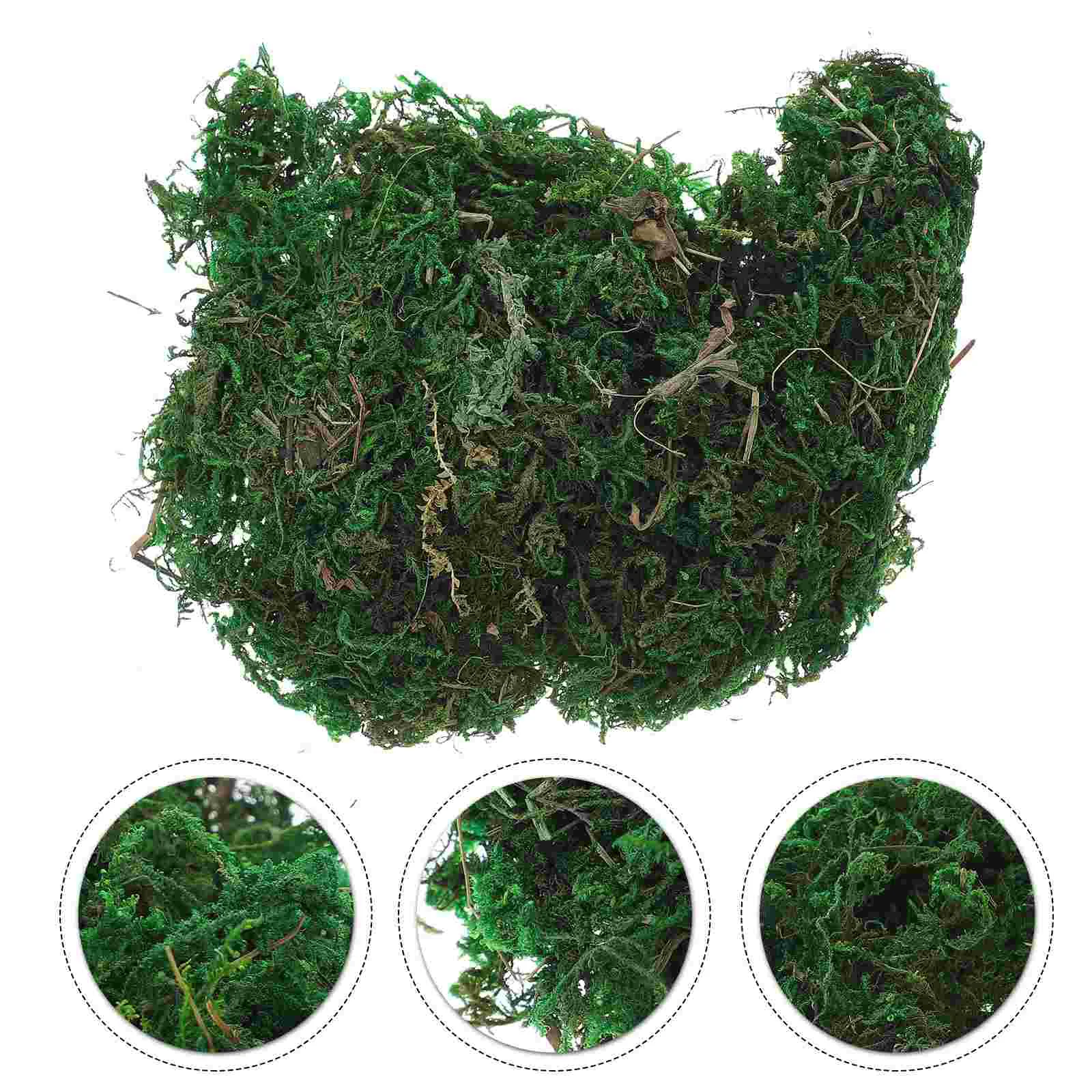 

Plants Artificial Fakefaux Green Lichen Indoor Potted House Natural Simulationdried Decorcrafts Filler Craftgarden Sheet
