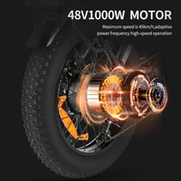 Складной электрический велосипед Ridstar Winner#1