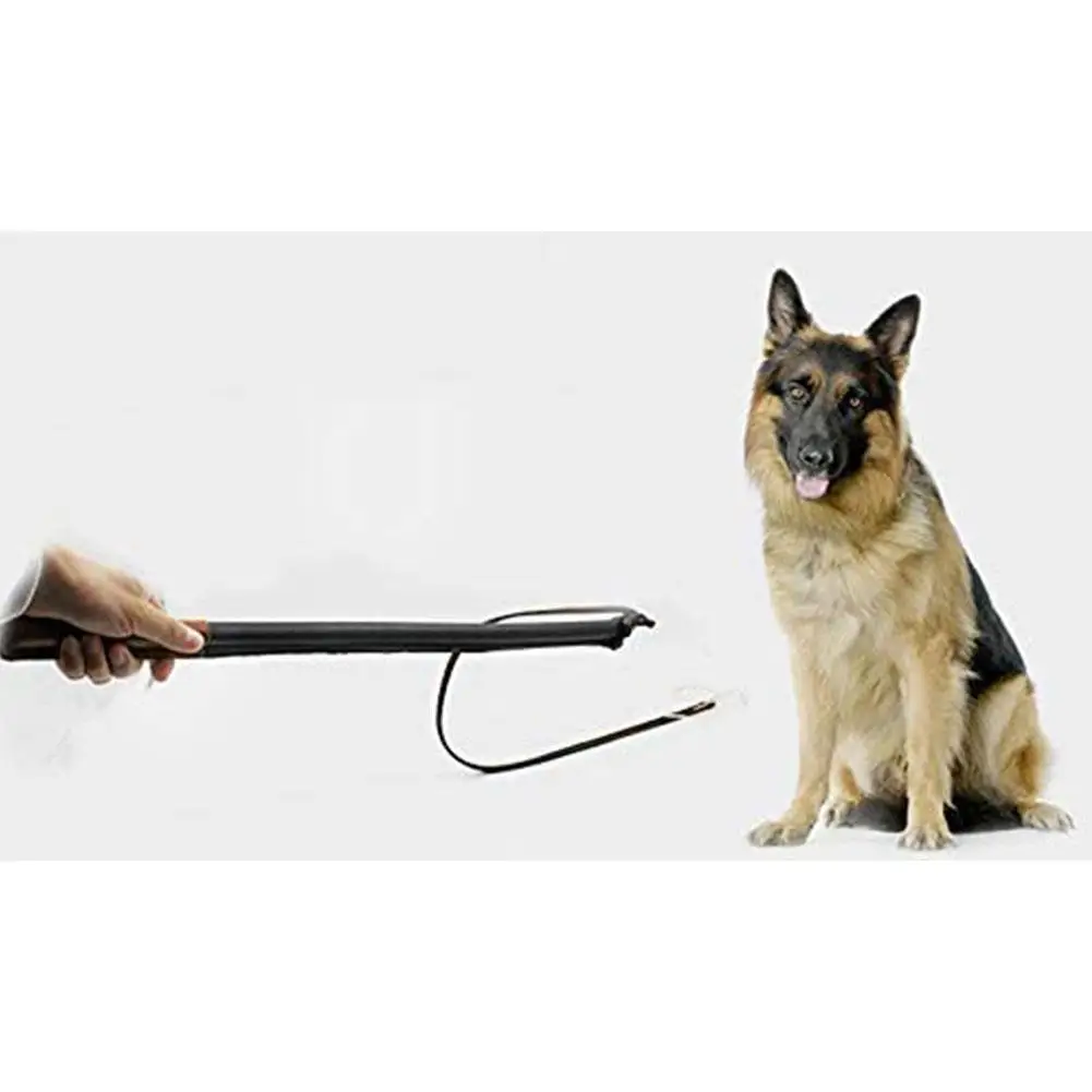 

High Quality Pet Dog Training Whip Tool Imitation Cowhide Sound Whip for Horse Herding Dog Hot Sale