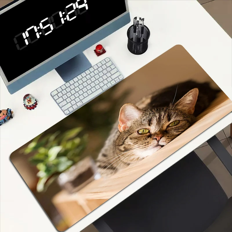 

Cat Mouse Pad Large Desk Mat Keyboard Gaming Mats Xxl Mousepad Gamer 900x400 Computer Tables Deskpad Deskmat Playmat Moused Pads