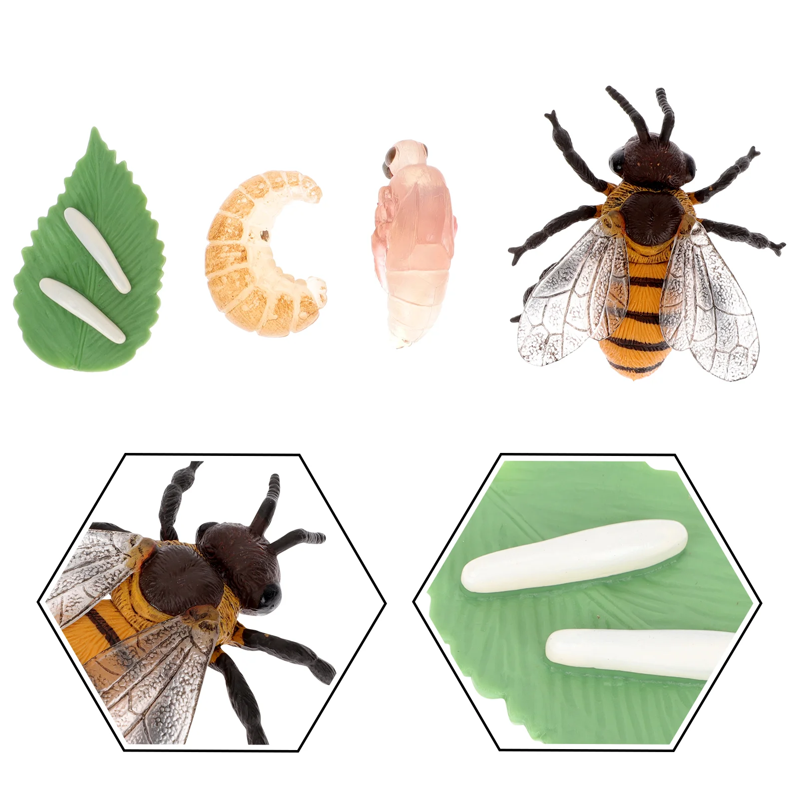 Модель роста пчелы имитация жизненного цикла образовательные фигурки биология