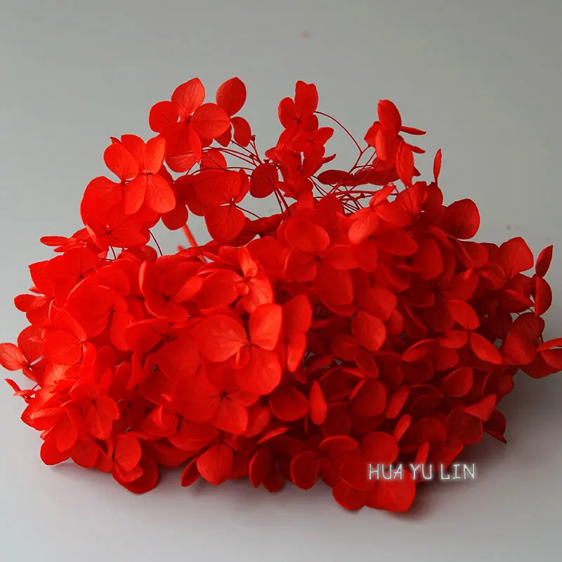 

Сухой цветок Анна гортензия для сережек и свечей