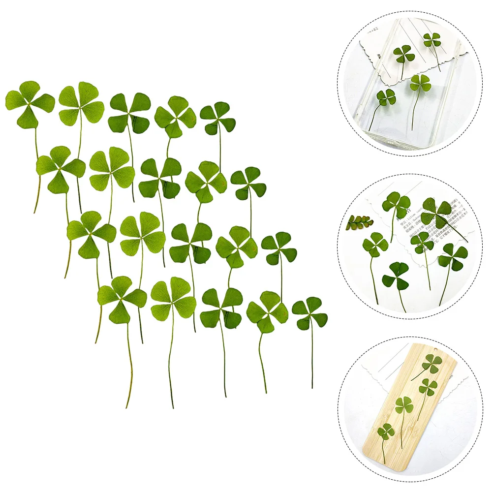 

Pressed Dried Leaf Resin Four Dry Diy Flowers Leaves Shamrock Making Crafts Flower Decor Luck Day S Patric Materials Necklace