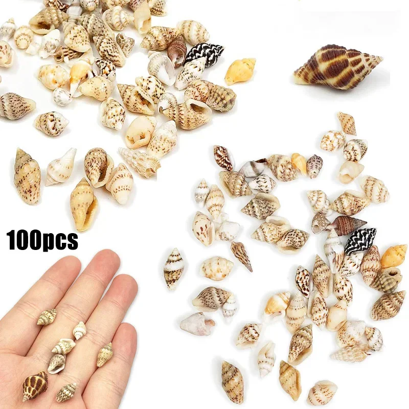 

Натуральные морские звезды для декорирования