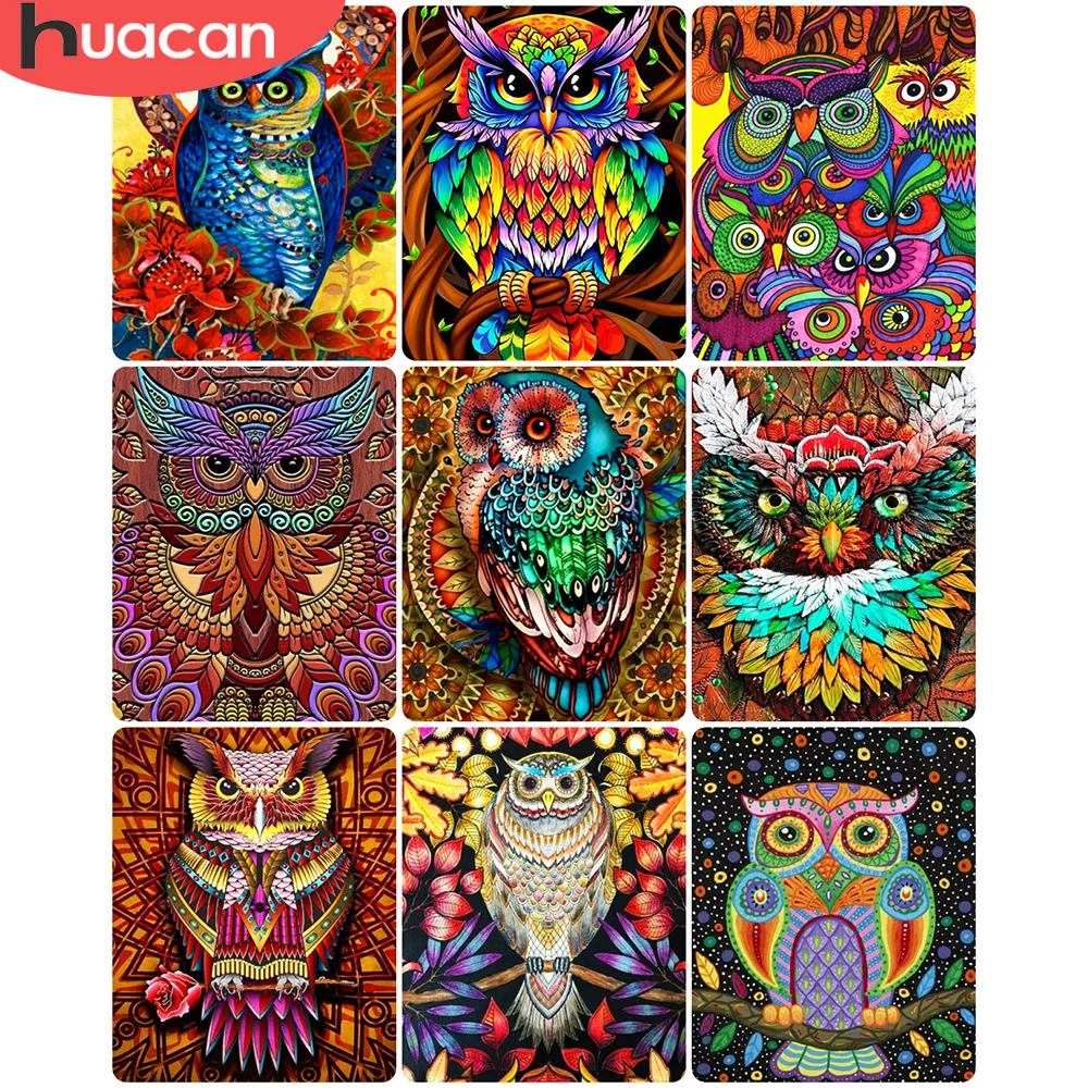 

HUACAN DIY Oil Painting By Numbers Owl Animal Hand Painted Unique Gift Acrylic On Canvas Wall Art Picture For Living Room