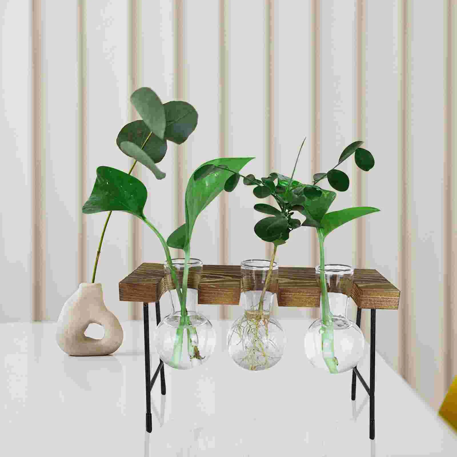 

Crystal Terrarium Ikebana Vases Glass Bulb Vase Floral Decor Propagation Station Air Propagation Wall Hanging