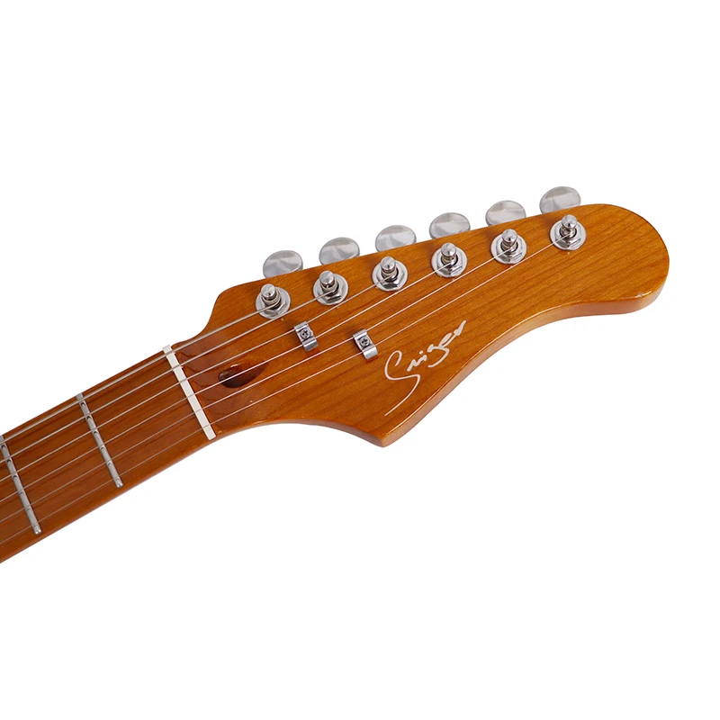 Гитара шектер pt series. Smiger l-g2-pro. Электрогитара smiger. Smiger g2 pro. Электрогитара smiger.