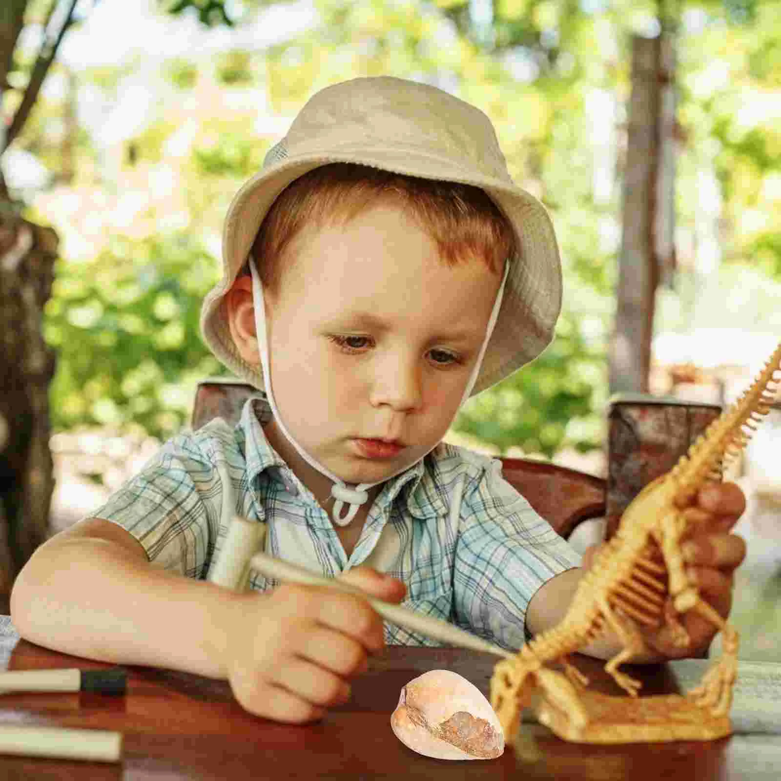 Bivalve Clam Palaeo-ocean Палеонтология Настольный орнамент Украшение Водный стол Игрушка