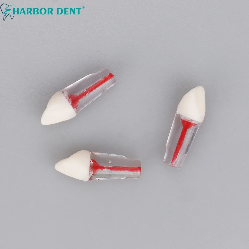 5 шт. стоматологический Эндодонтический корневой канал модель для обучения