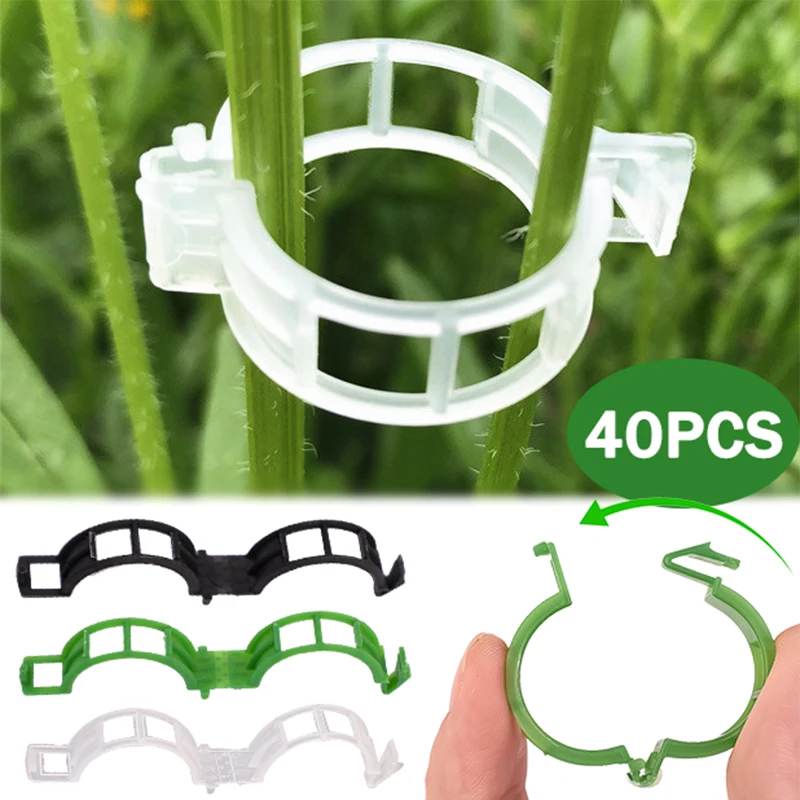 Plant Climbing Wall Clips Support Buckle Hook Rattan Clamp Grafting Fixing Stent Invisible Vine Fixed Bracket Tomato Garden Tool