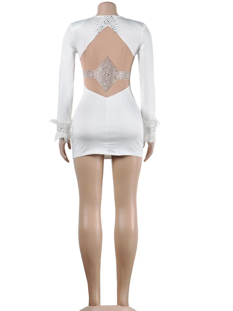 Kricesseen блестящее прозрачное Сетчатое украшенное перьями отделанное длинным