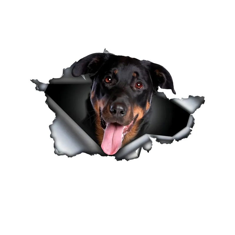 DK570 # Автомобильные наклейки Beauceron самоклеящаяся водонепроницаемая наклейка с