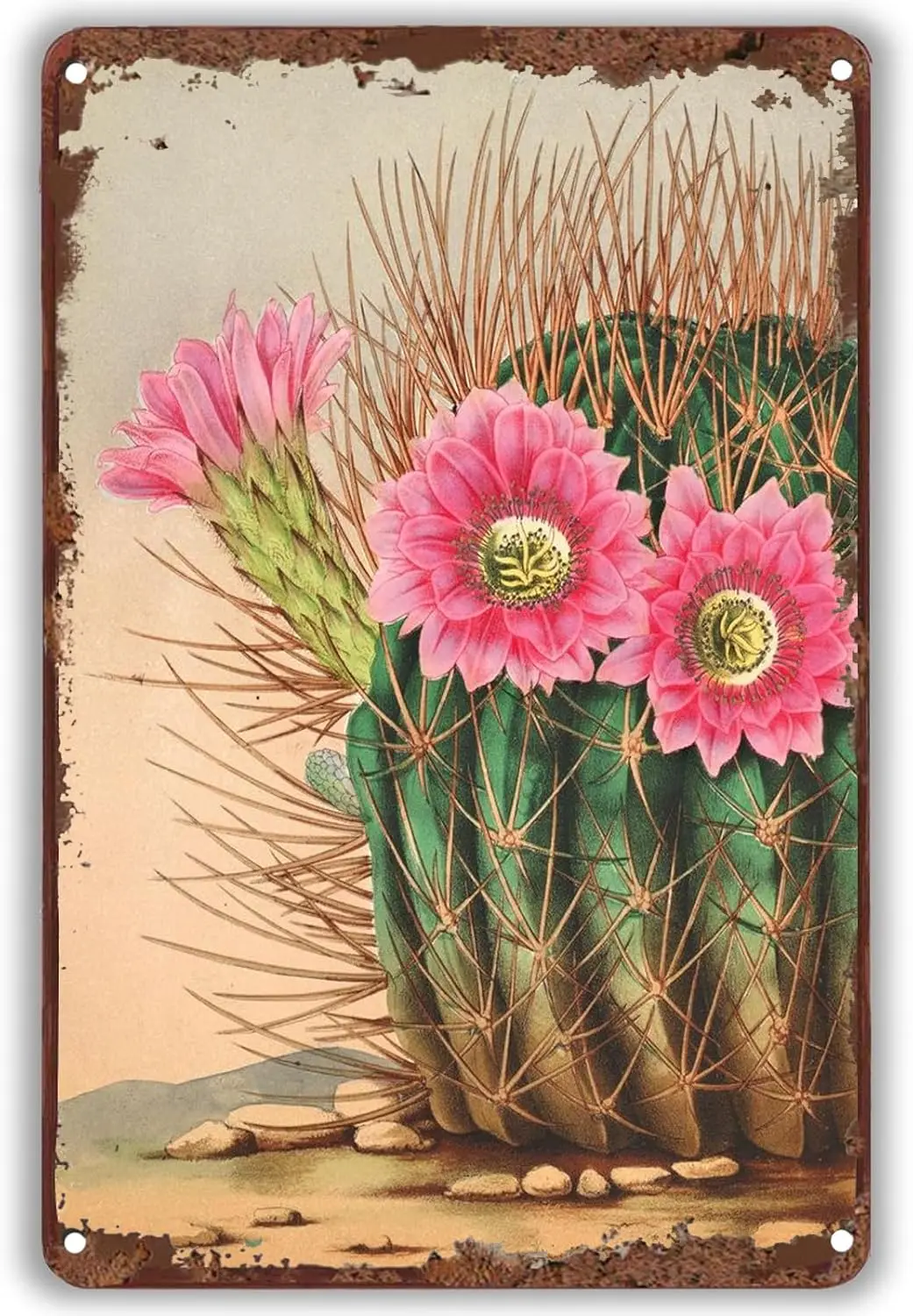 Prckly Per Cctus ntge Tn Sgn Succulent Wll Decor Southwestern Botncl rt Плакат для дома Lng Room Спальня Grden Cfe Br 8&amp #