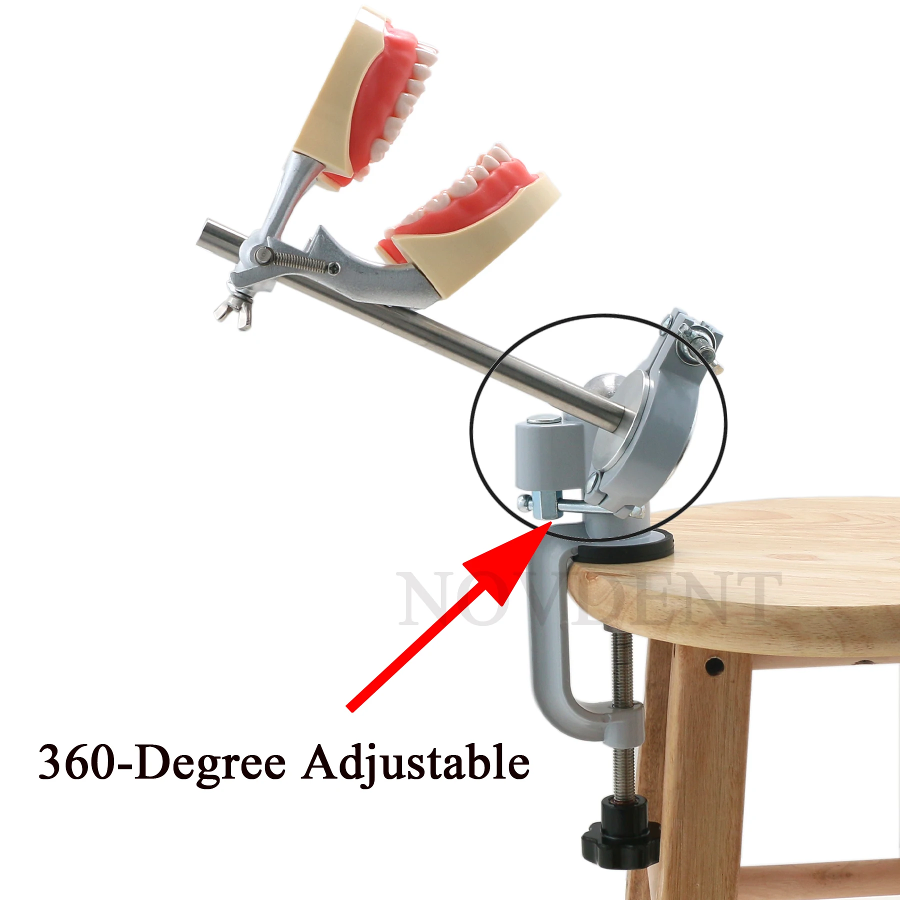 Стоматологический монтажный столб Typodont подходит для модели зубов Columbia Kilgore Nissin