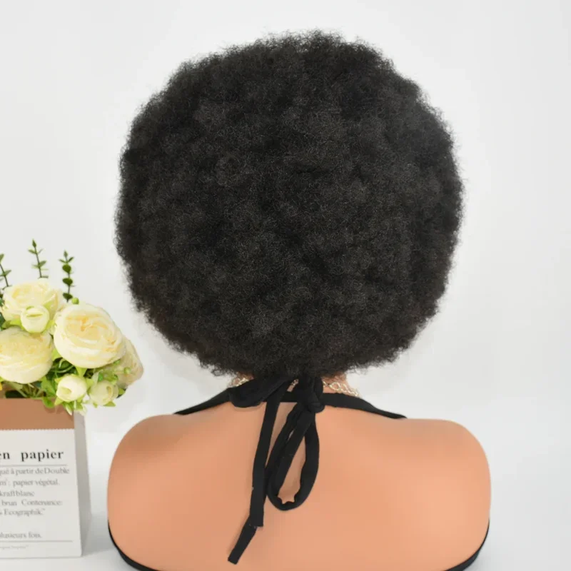 250% Плотность 13x6 кружевной фронтальный Плетеный парик афро кудрявые вьющиеся