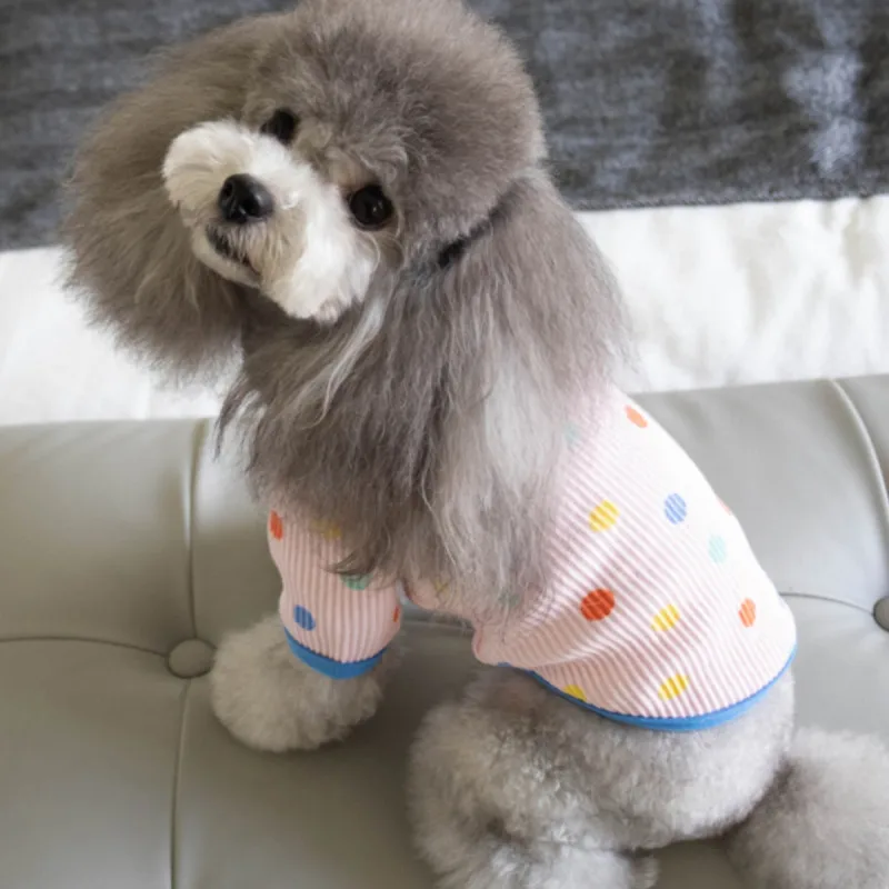 2023 симпатичная футболка в горошек для собак Тедди Йоркширский терьер зимние