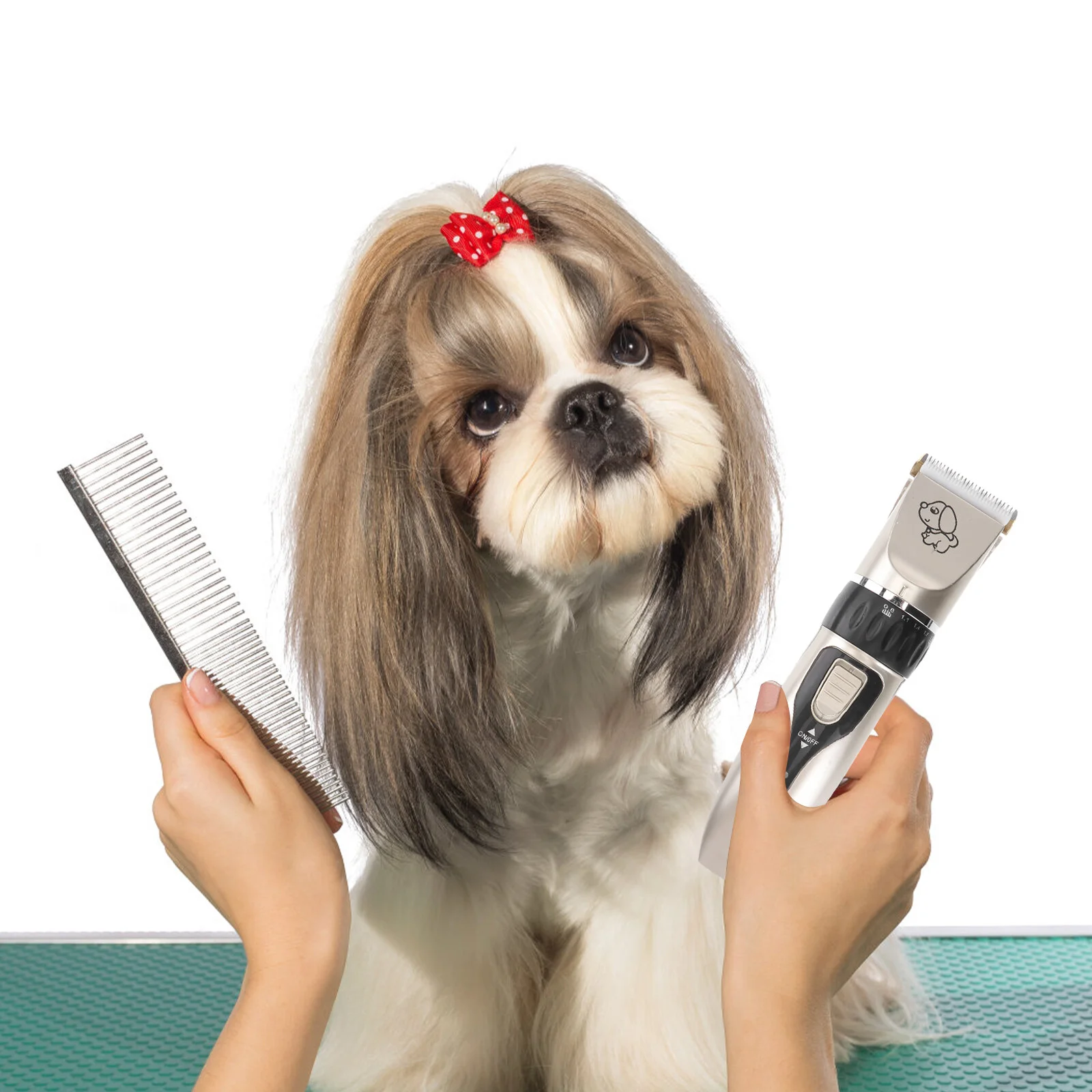 Груминг собак. Груминг собак. Собачий парикмахер. Парикмахерские для собак. Профессия грумер.