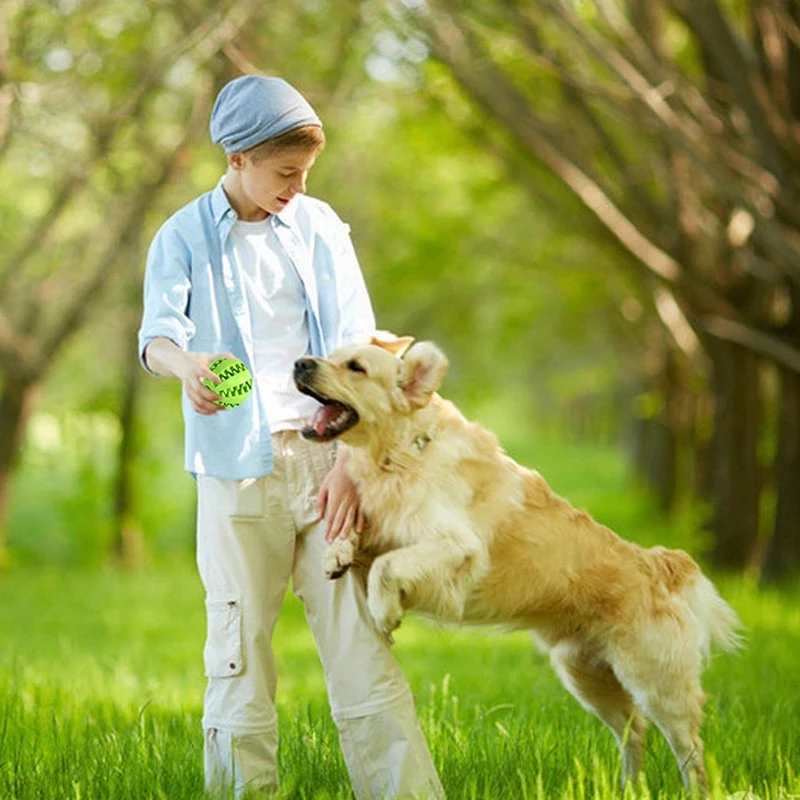 Интерактивные резиновые шарики для чистки собак и щенков