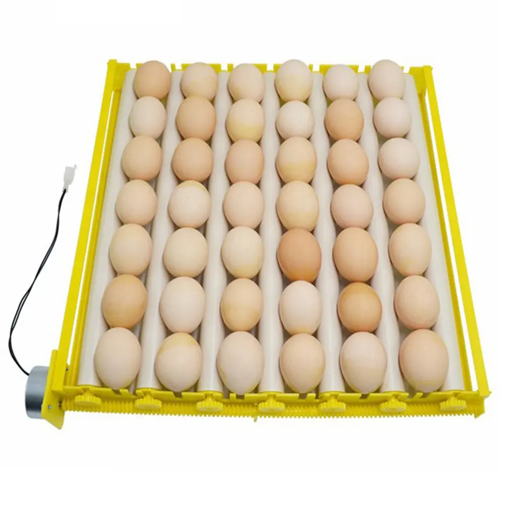 

Пластиковый поднос для яиц