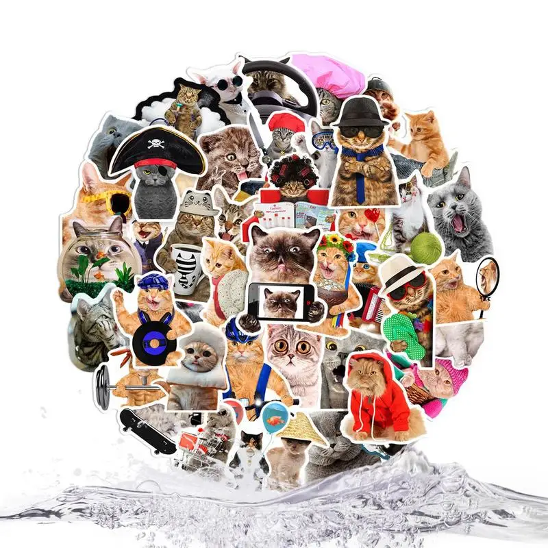 

Cat Stickers For Water Bottles Waterproof Kitten Stickers 66 Pcs Fun Animal Decal For Water Bottles Laptop Phone Scrapbook