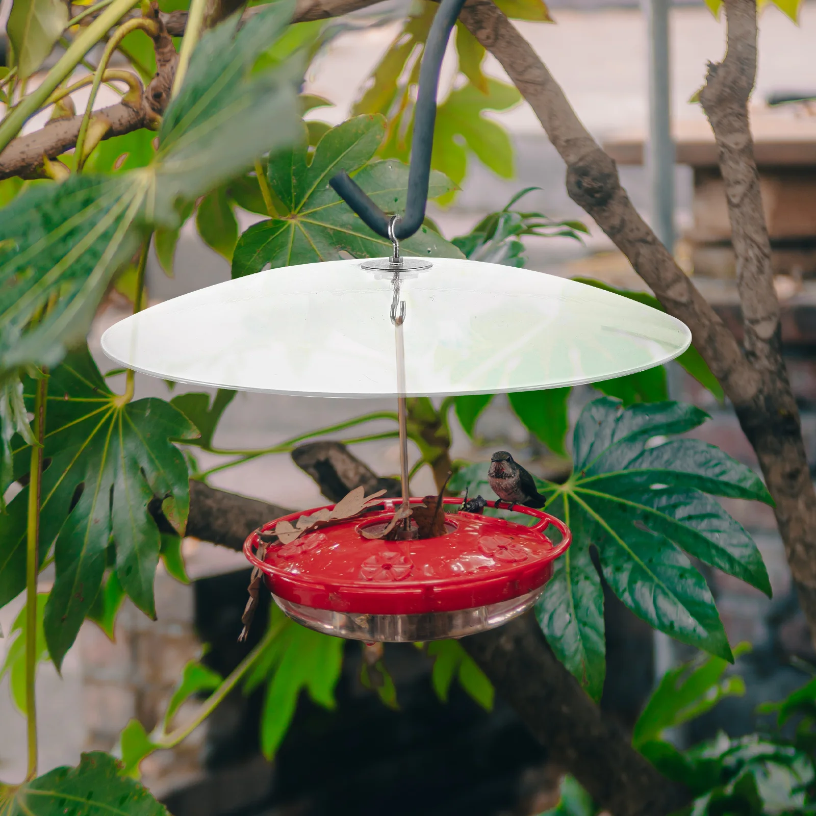 Прозрачный защитный купольный чехол для кормушки птиц подвесная защита