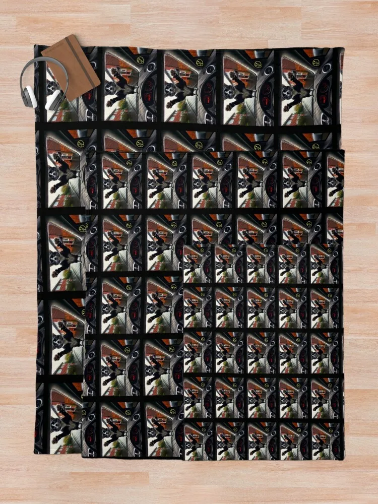 Jovi The Cat раздвижное мокрые ветровое стекло автомобиля одеяло гигантский диван