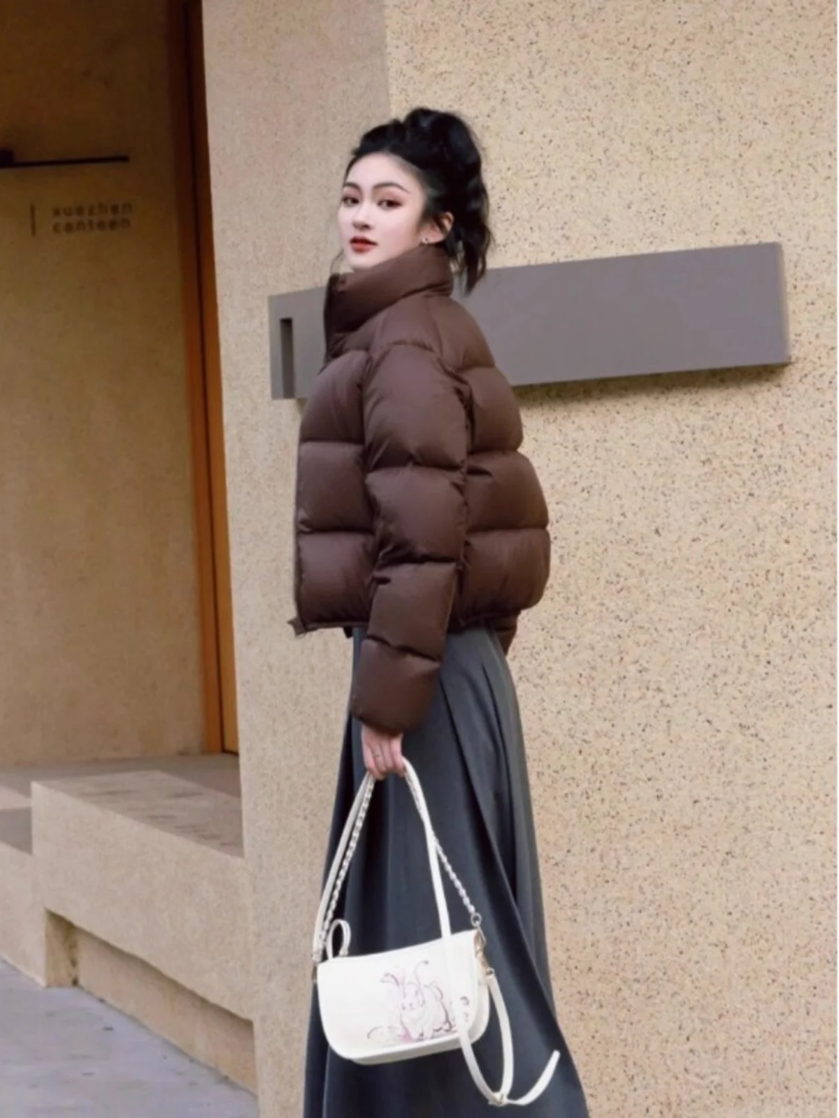 Coffee Color Stand Collar Short Down jacket Women Winter 2023 New Kendall Sle Small Man White Duck Down down Coat Outerwear