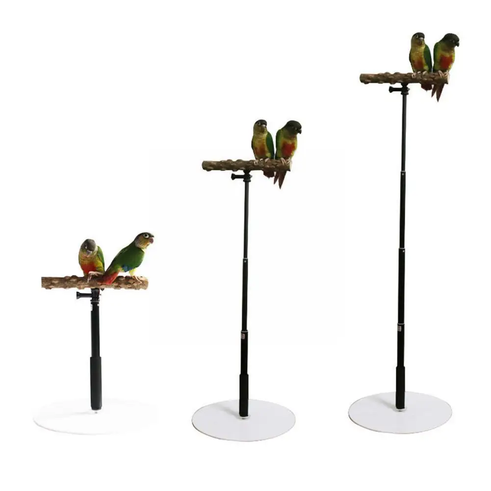 

T Shape Standing Parrot Bird Training Stand Detachable Parrot Bird Display Adjustable Supplies Toys Stand M2d7
