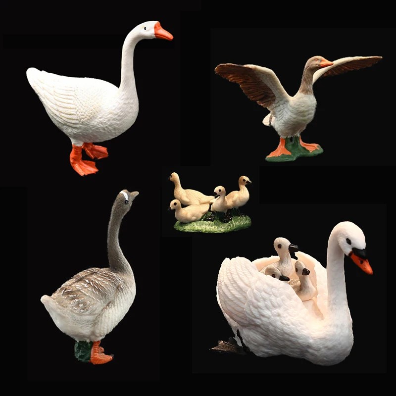 

Farm Poultry Duck Swan Simulation Animal Model Wild Animal Miniature Movable Doll Children's Educational Toy Collection Statue