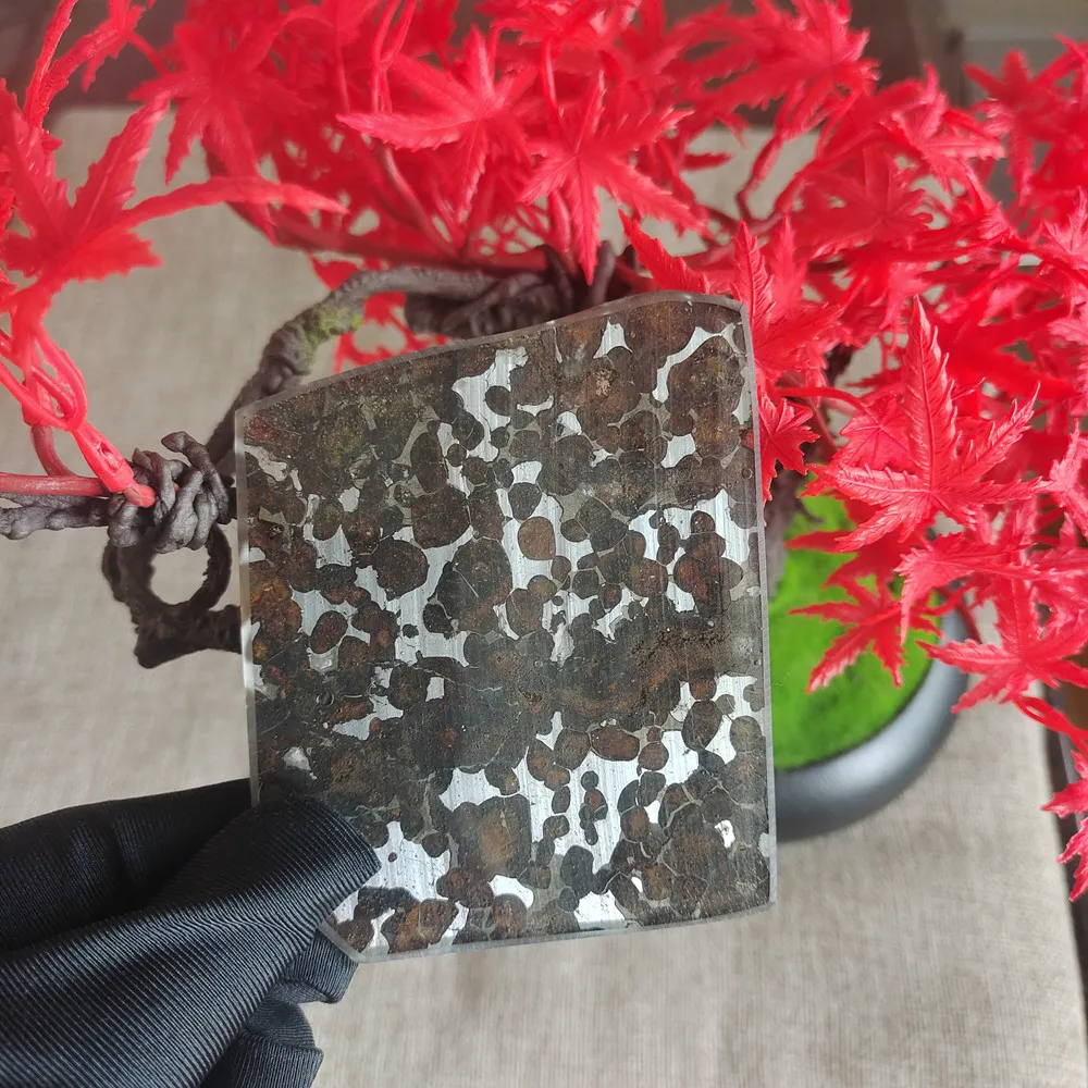 

74.9g SERICHO Pallasite Natural olivine meteorite thin slice specimen of olivine meteorite material - from Kenya - CA169