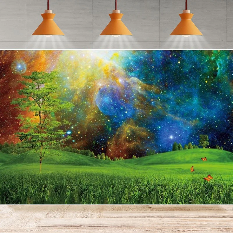 Ландшафтный пейзаж фотография луг трава Бабочка звездное небо Вселенная сцена