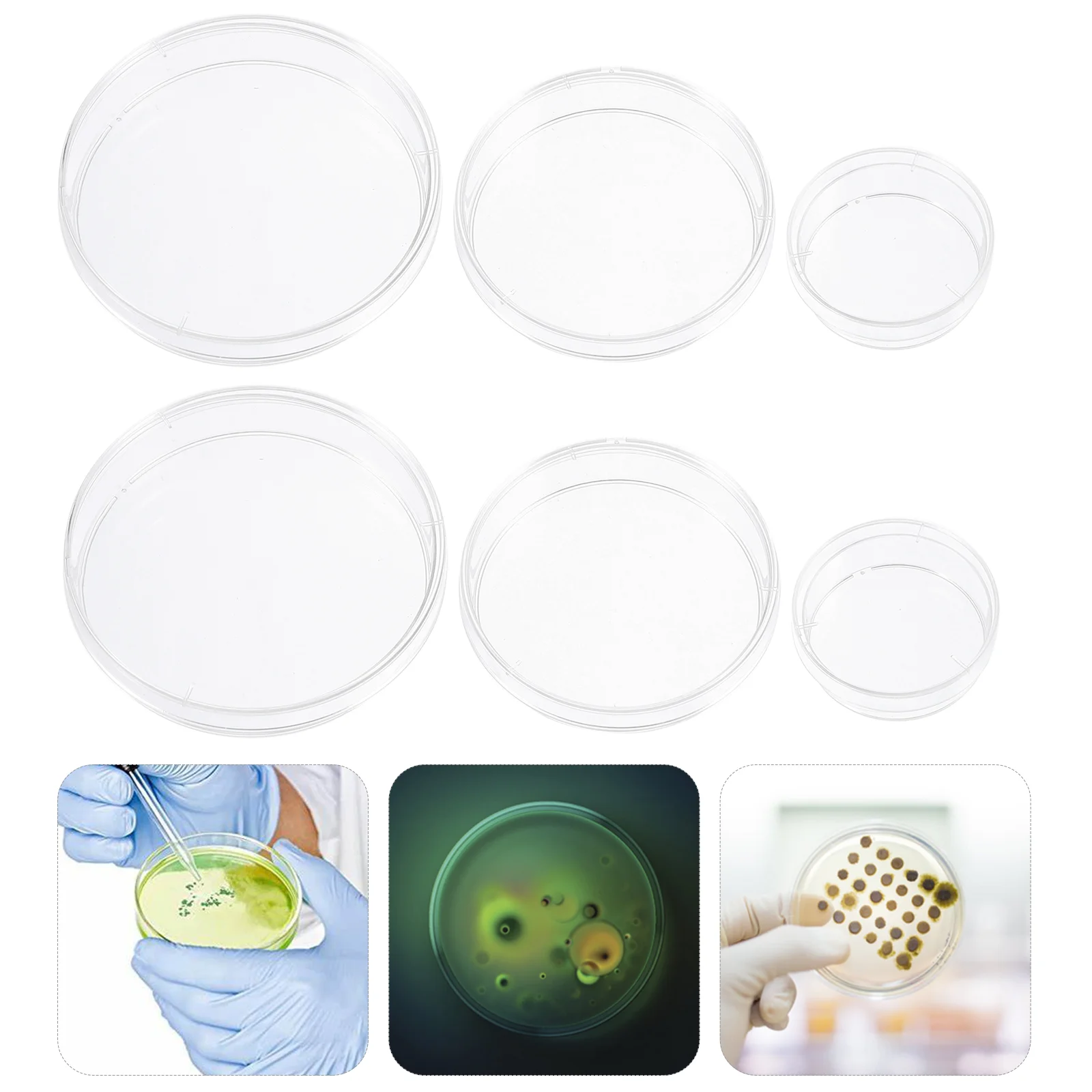 

30 Pcs Petri Dish Culture Bacteria Dishes Supplies Cell Sterile Lid