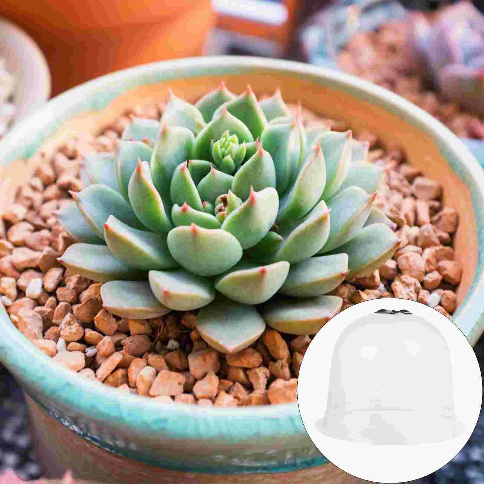 6 шт. защитная крышка для растений этикетка внутреннего купола увлажняющая