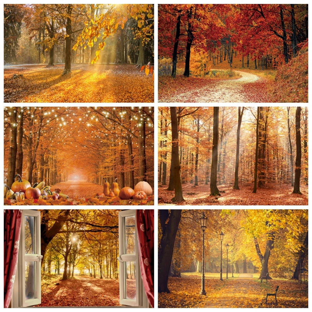 Фон для студийной фотосъемки с изображением осеннего леса и природы |