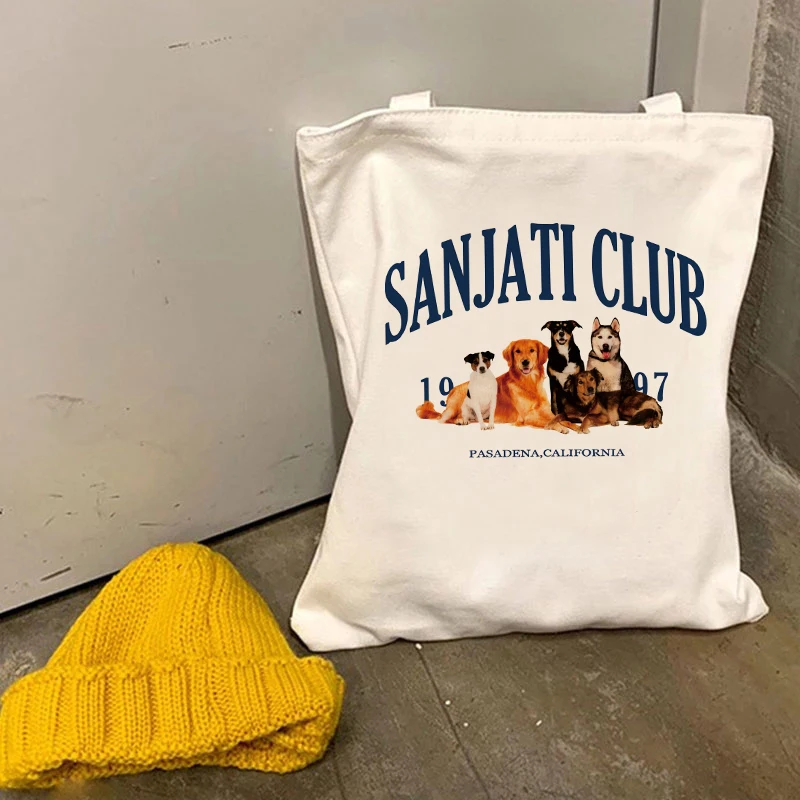 

Модная простая белая сумка, милая художественная кавайная Новинка 2022, Холщовая Сумка-тоут для покупок, Повседневная сумка для покупок с мил...