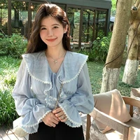 Голубая блузка#2