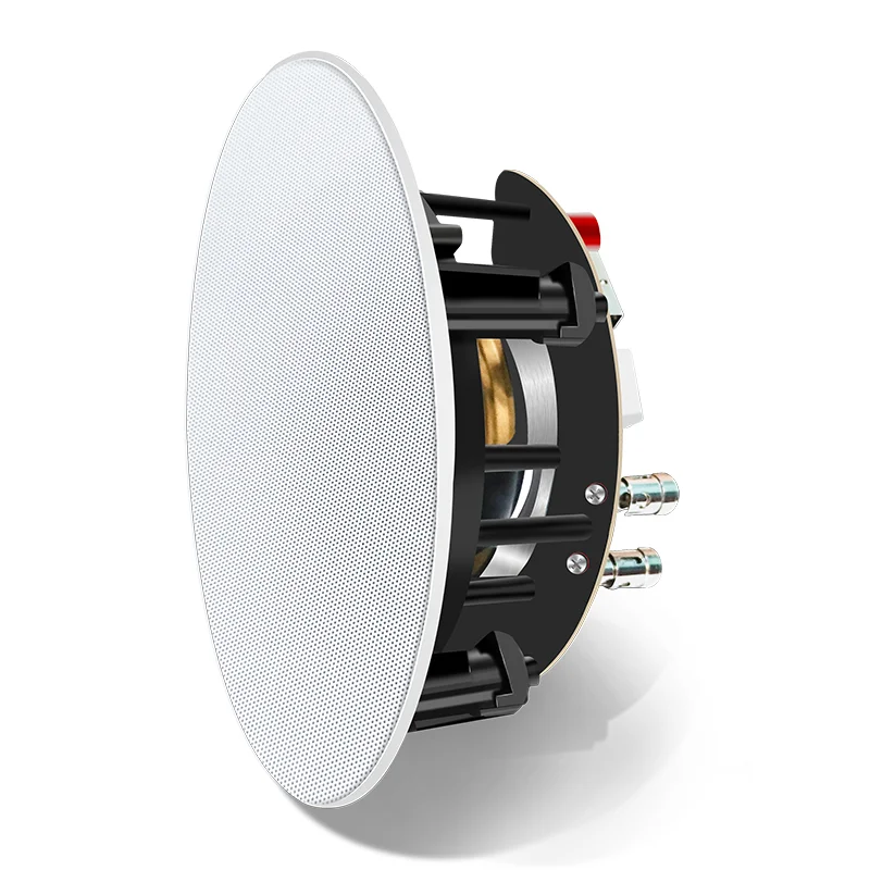 Home Wireless Ceiling Speaker w/ Amplifier Linkplay Airplay DLNA WiFi BT USB Audio System Multi-room playback