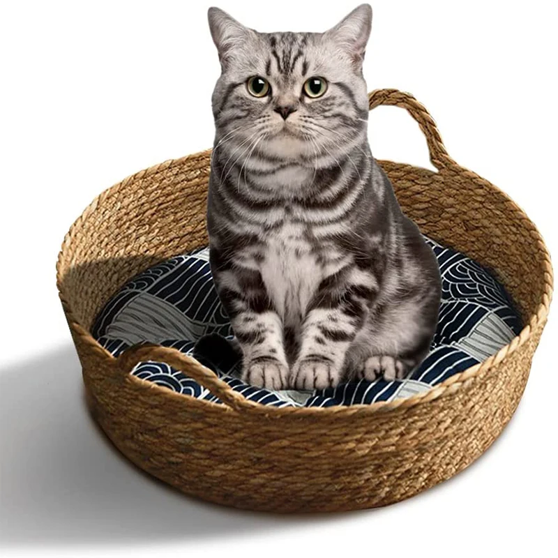 Letto per gatti in Rattan letto per gatti carino con cuscino morbido corda di cotone cesto intrecciato nido con cuscino per gatti di grandi dimensioni forniture cestini per gatti