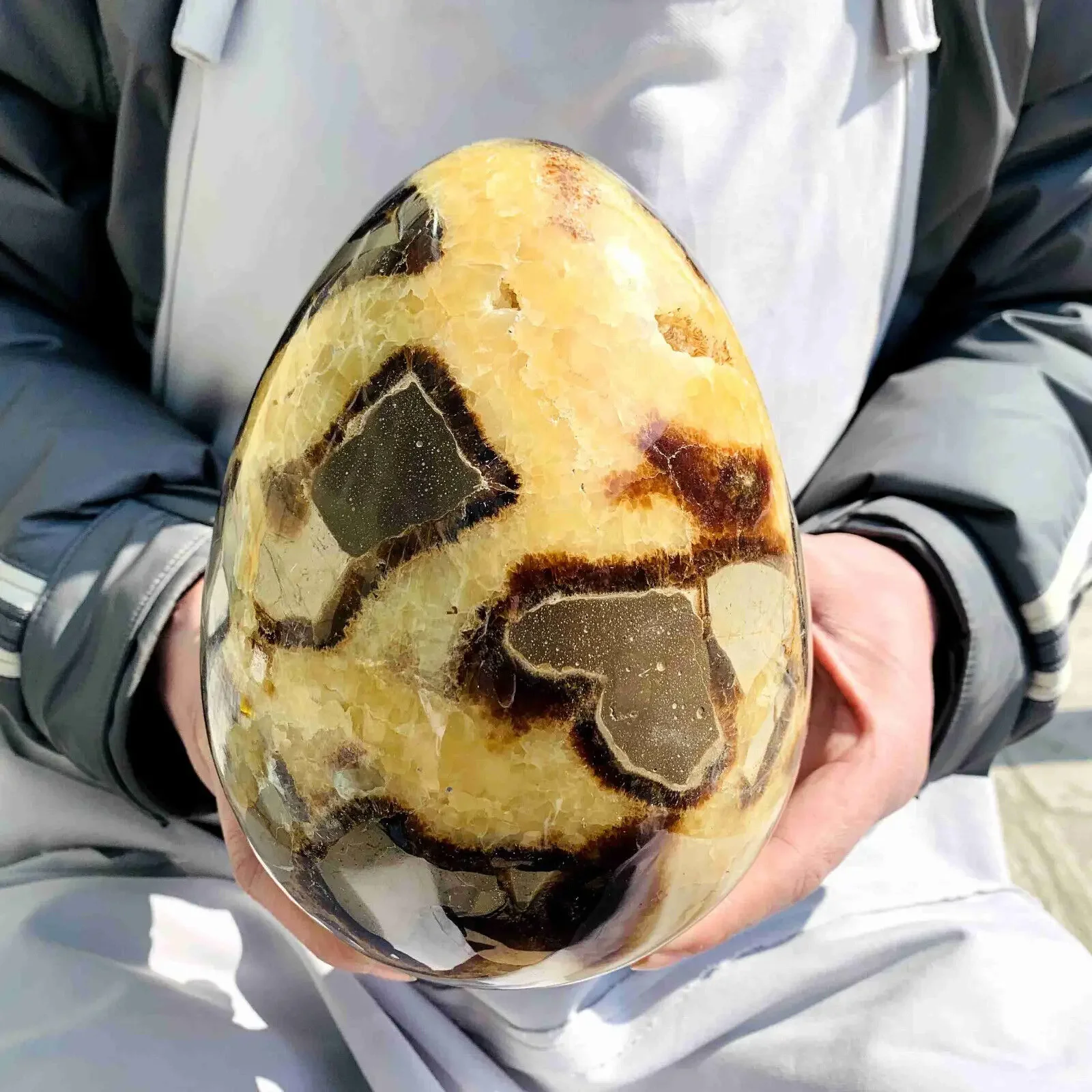 Натуральный дракон перегородка кварцевый кристалл яйцо исцеление геодезический