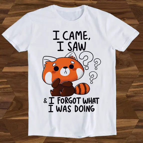 Я тожу пилу забывайте что была делаешь забывательная красная панда забавная