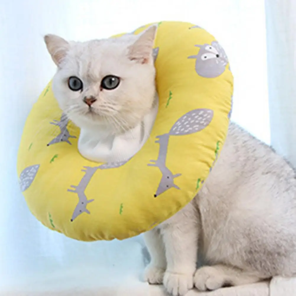 

Excellent Delicate Texture Lightweight Medium Pet Dog Cat Recovery Collar Cat Protective Cone Cat Recovery Collar