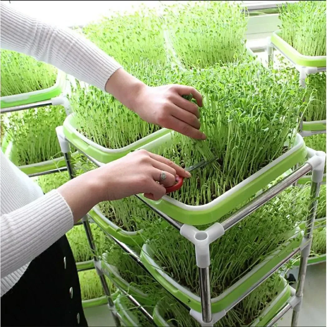 2-слойный гидропонный лоток Microgreens 1 шт. 33 см X 26 5 прочный для помещений садоводства