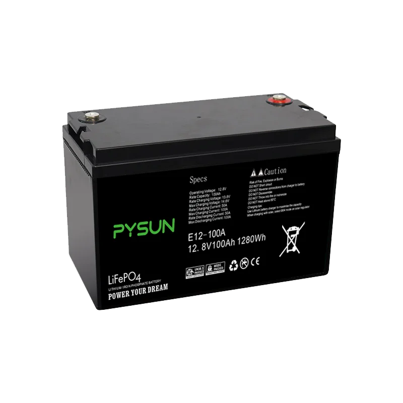 Фото PYSUN IP65 Водонепроницаемая грелка Настроить рынок ЕС Польша LiFePo4 Батарея 12 В 100 Ач 150 Ач 200 Ач Солнечная энергия №4