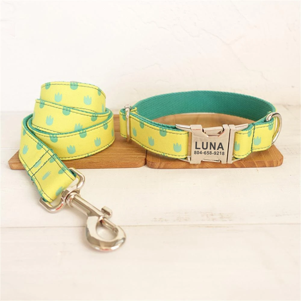 Personalized Pet Collar Customized Nameplate ID Tag Adjustable Soft Cute Dragon Claw Cat Dog Collars Lead Leash