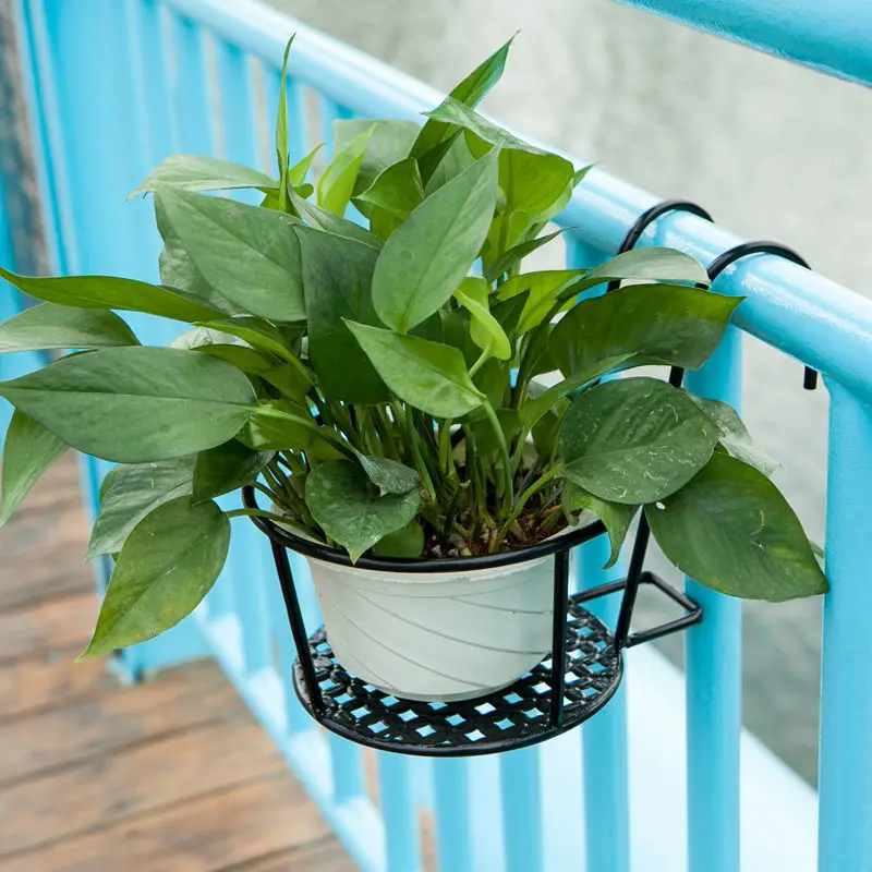 

Hanging Type Versatile Metal Plants Stand Plant Shelf Rack for Indoor Balcony Flower Stand Green Hanging Orchid Hanging Basket