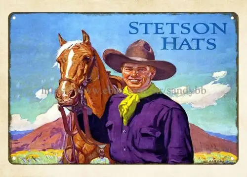 Фото 1p, шляпа STETSON, ковбойская лошадь, металлическая жестяная вывеска, репродукция, настенный декор №1